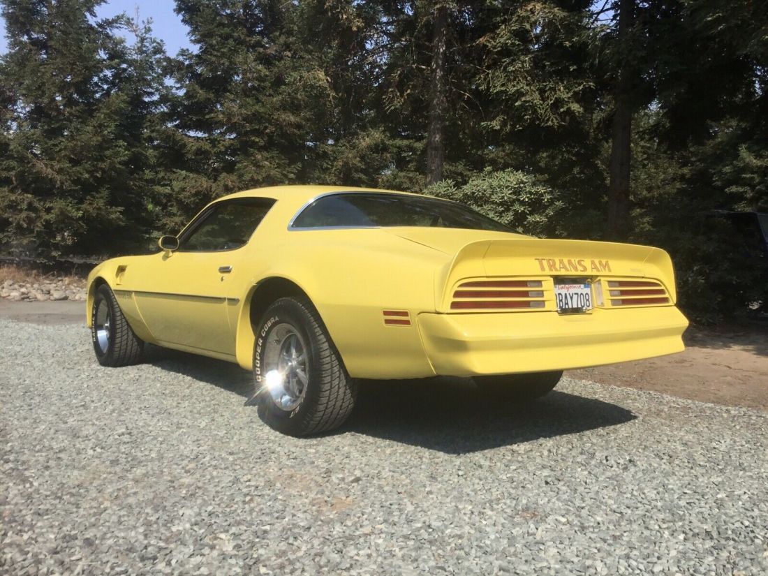 1977 Pontiac Firebird Trans Am Trans am - photo 13