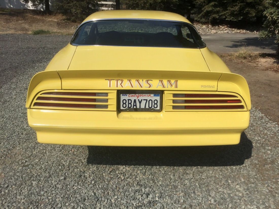 1977 Pontiac Firebird Trans Am Trans am - photo 2