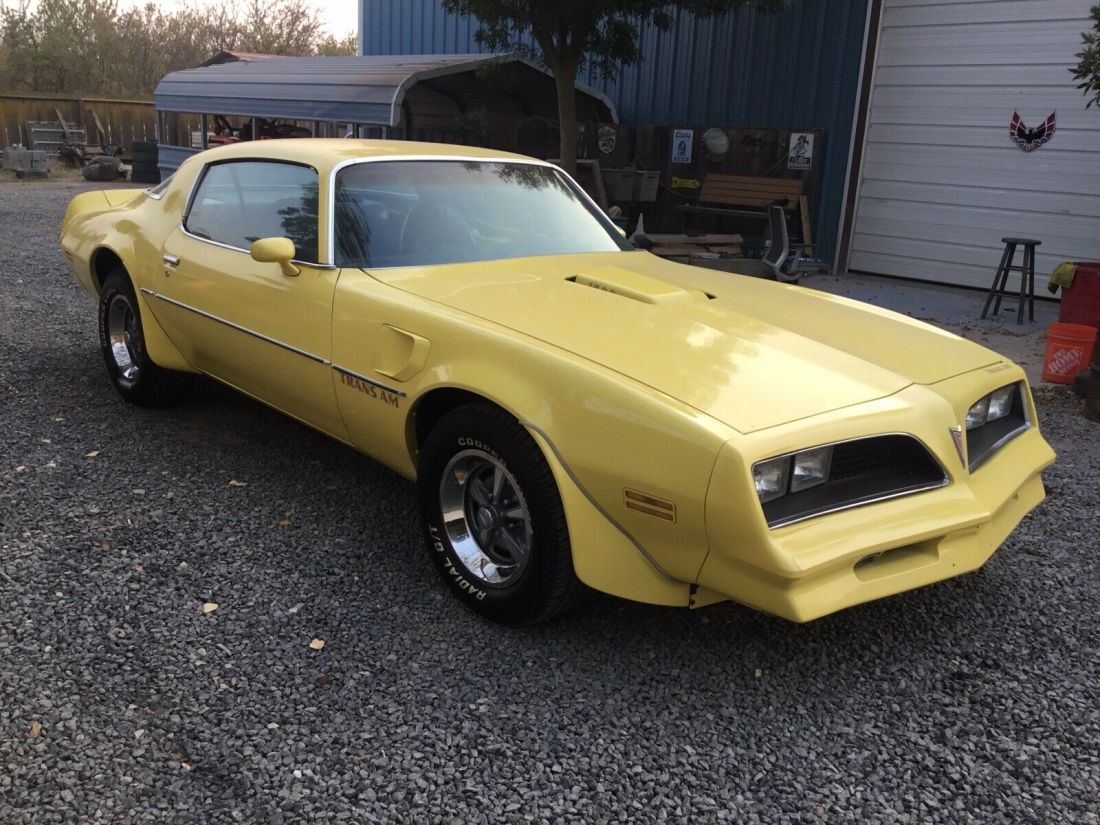 1977 Pontiac Firebird Trans Am Trans am - photo 3
