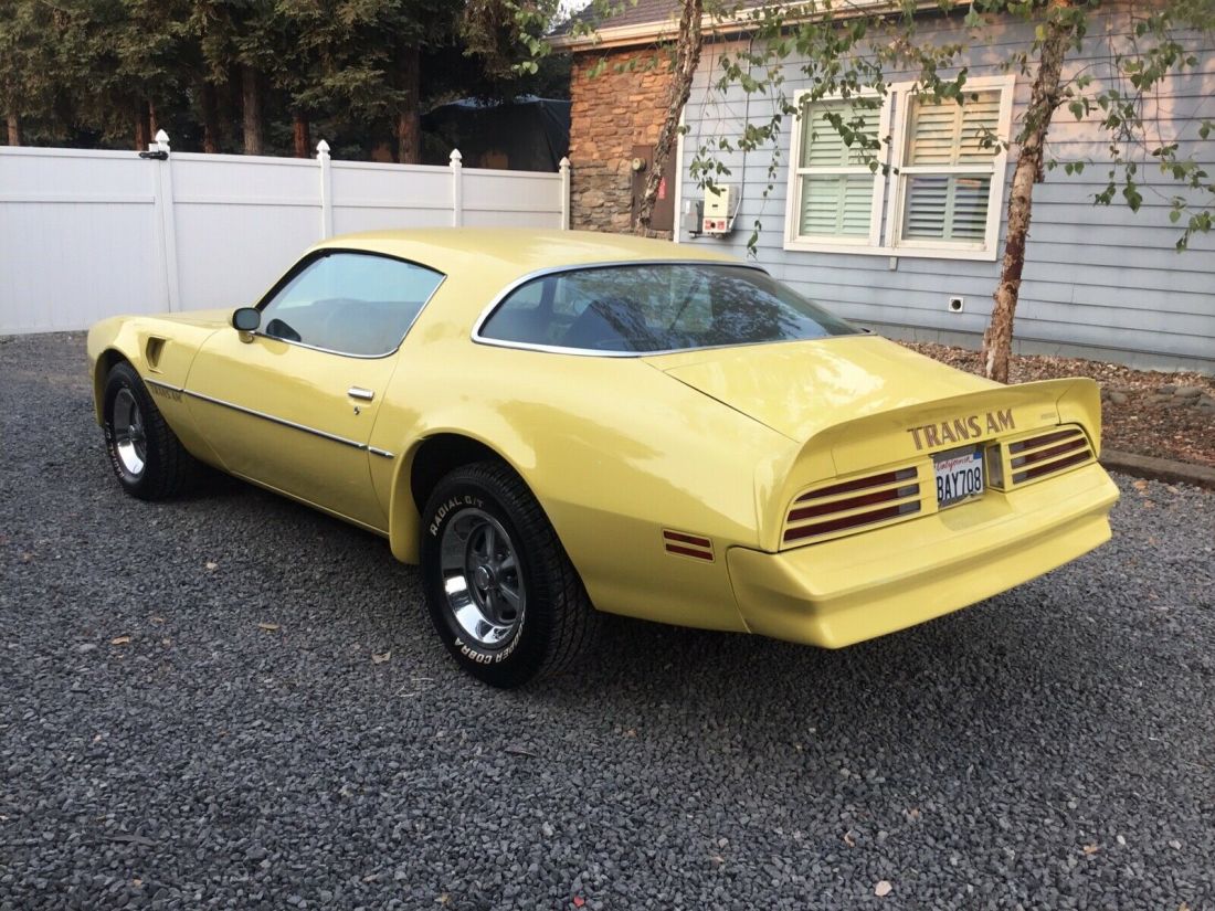 1977 Pontiac Firebird Trans Am Trans am - photo 4