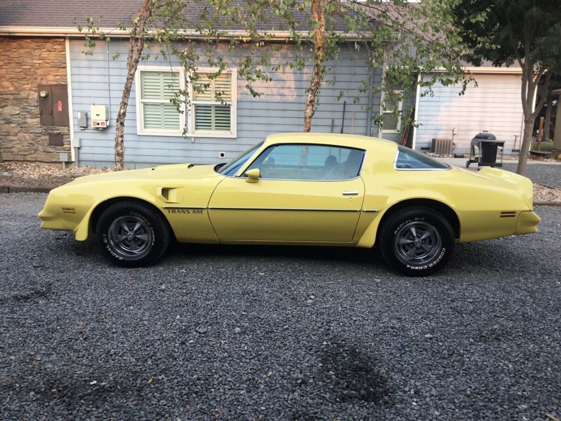 1977 Pontiac Firebird Trans Am Trans am - photo 6