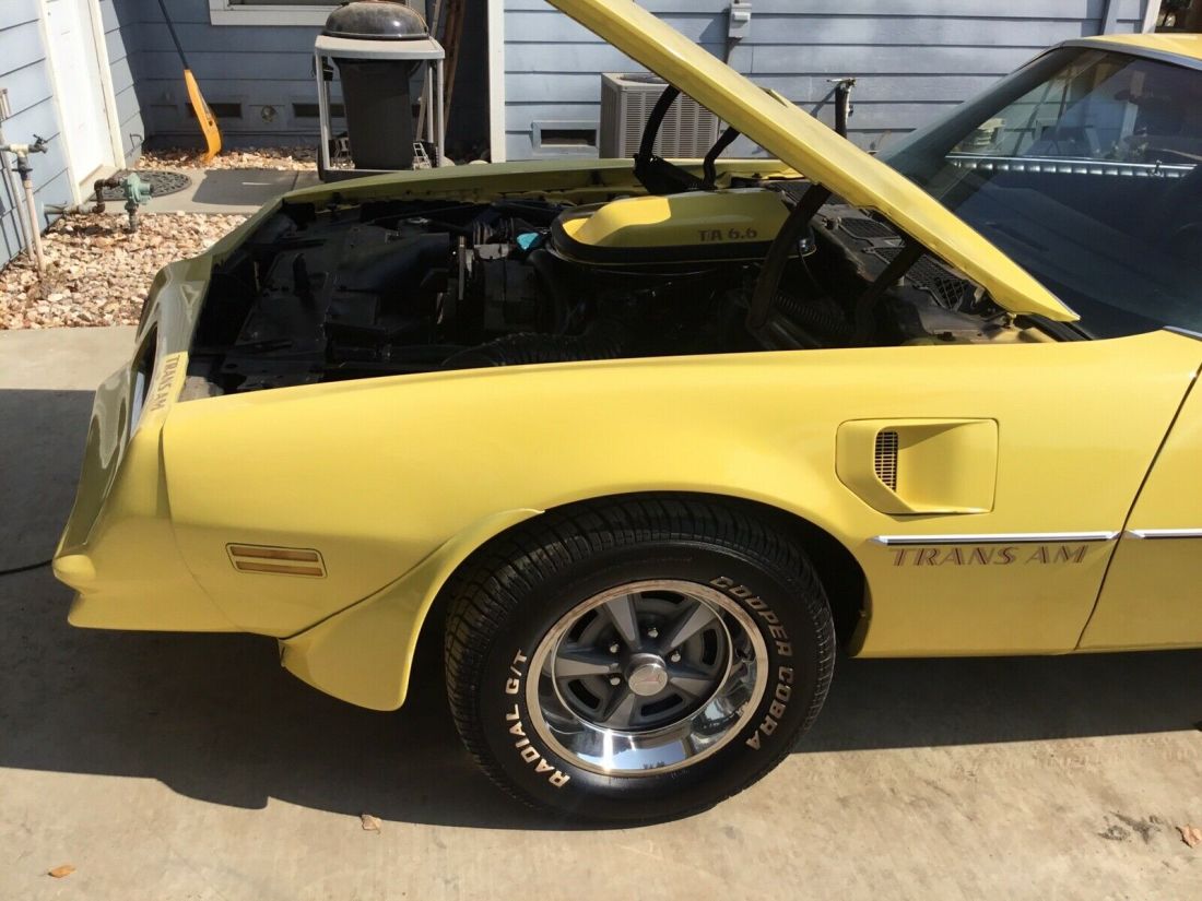 1977 Pontiac Firebird Trans Am Trans am - photo 8