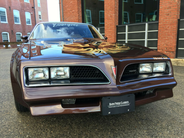 1977 Pontiac Trans Am Trans Am - photo 3