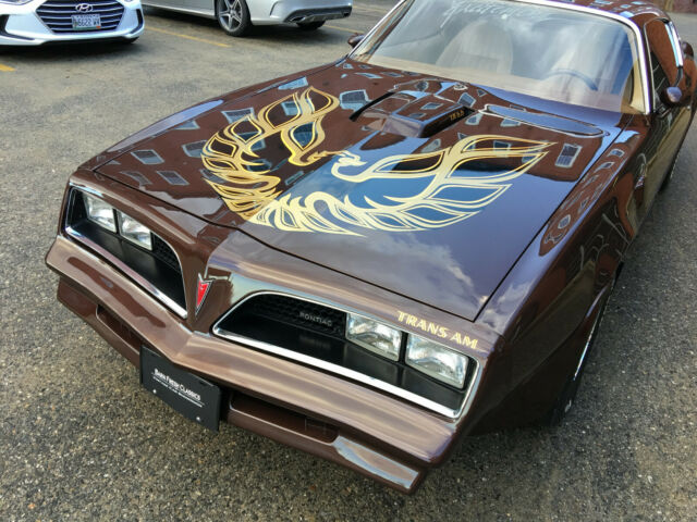 1977 Pontiac Trans Am Trans Am - photo 4