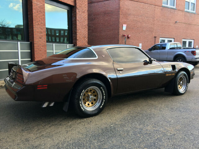1977 Pontiac Trans Am Trans Am - photo 8