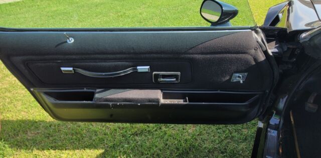 1977 Pontiac Firebird Special Edition - Gold Accents - photo 11