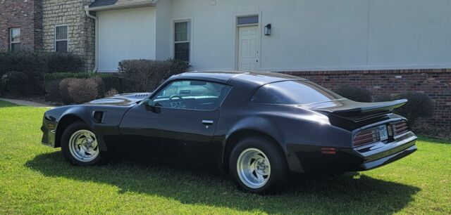 1977 Pontiac Firebird Special Edition - Gold Accents - photo 5