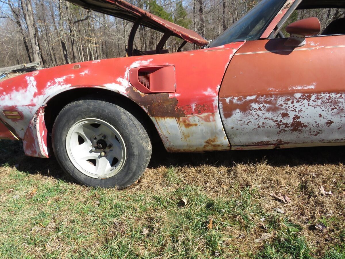 1977 Pontiac Trans Am - photo 8