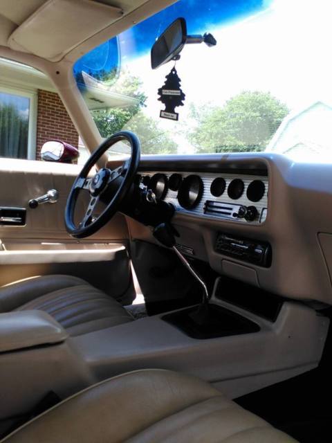 1977 Pontiac Trans Am Trans Am - photo 4