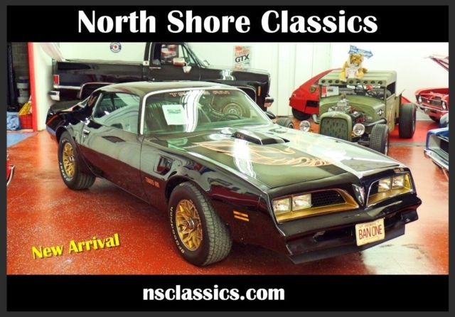 1977 Pontiac Firebird with Bandit Look-Affordable Classic-78 TRANS AM 79 80 1977 Pontiac Firebird Firebird with Bandit Look-Affordable Classic-NEW L