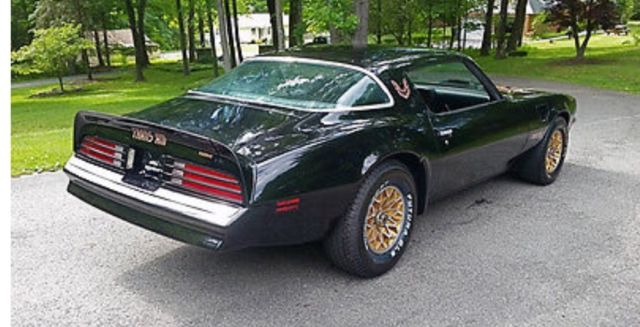 1977 Pontiac Firebird Firebird with Bandit Look-Affordable Classic-NEW L - photo 10