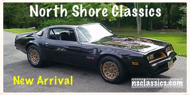 1977 Pontiac Firebird Firebird with Bandit Look-Affordable Classic-NEW L - photo 3