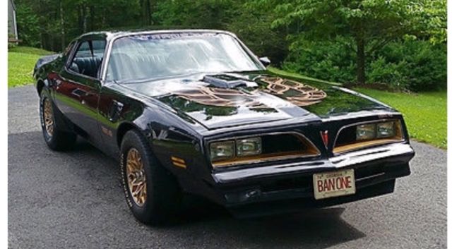 1977 Pontiac Firebird Firebird with Bandit Look-Affordable Classic-NEW L - photo 6