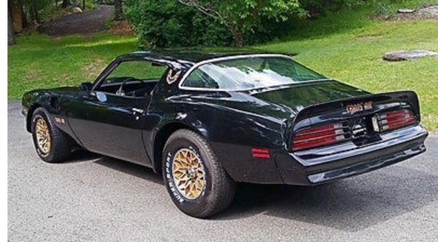 1977 Pontiac Firebird Firebird with Bandit Look-Affordable Classic-NEW L - photo 8