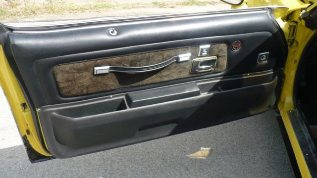 1977 Pontiac Trans Am formula - photo 13