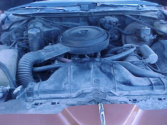 1977 Pontiac Le Mans - photo 11