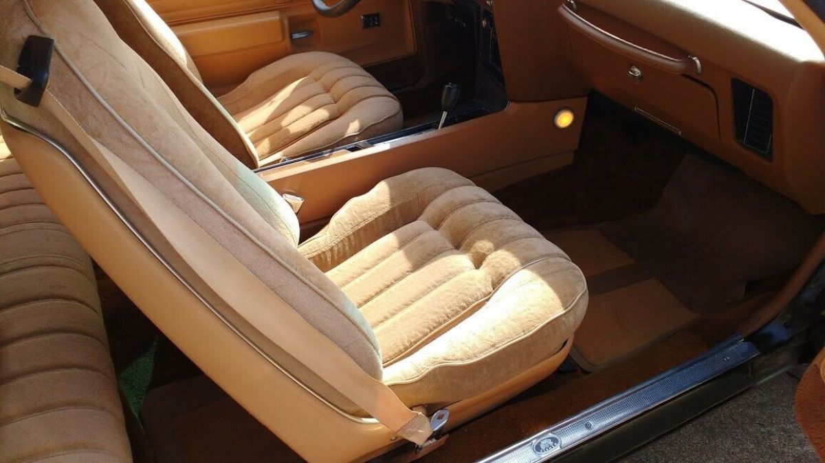 1977 Pontiac Le Mans Sport Coupe - photo 10