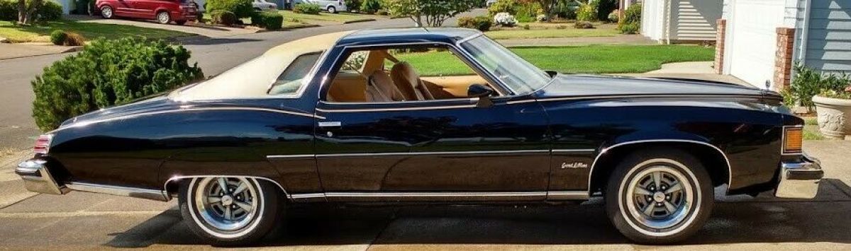1977 Pontiac Le Mans Sport Coupe - photo 2