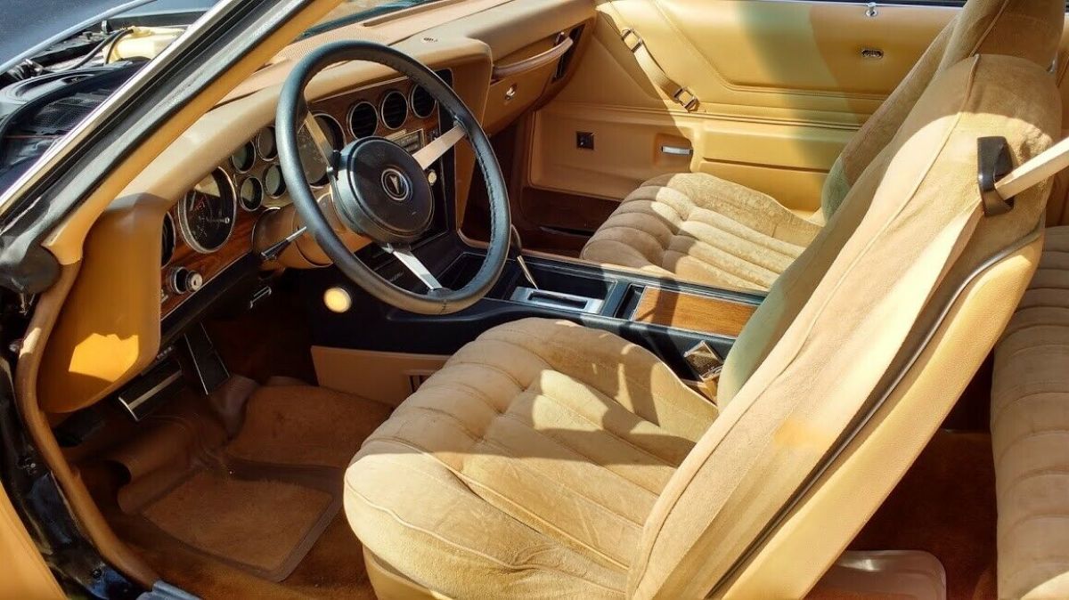 1977 Pontiac Le Mans Sport Coupe - photo 9