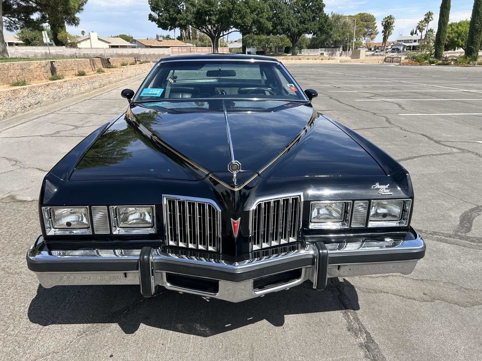 1977 Pontiac Grand Prix - photo 8