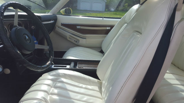 1977 Pontiac Grand Prix - photo 13