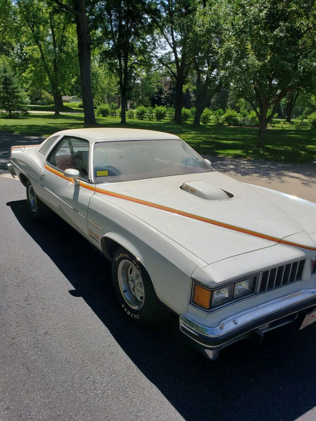 1977 Pontiac Le Mans - photo 3