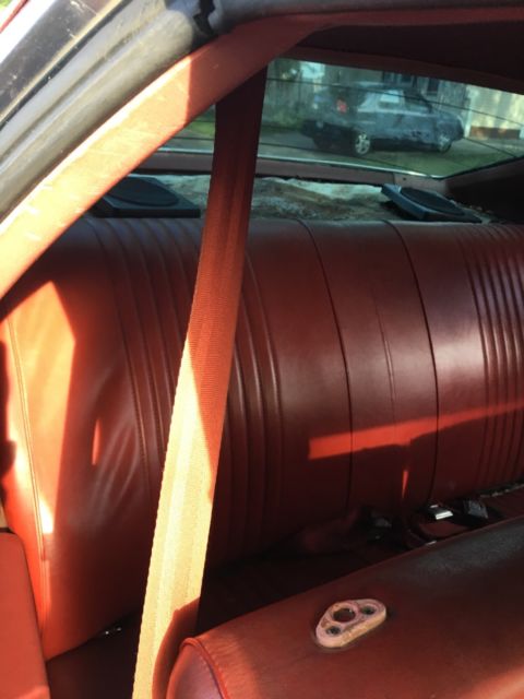 1977 Pontiac Le Mans - photo 6