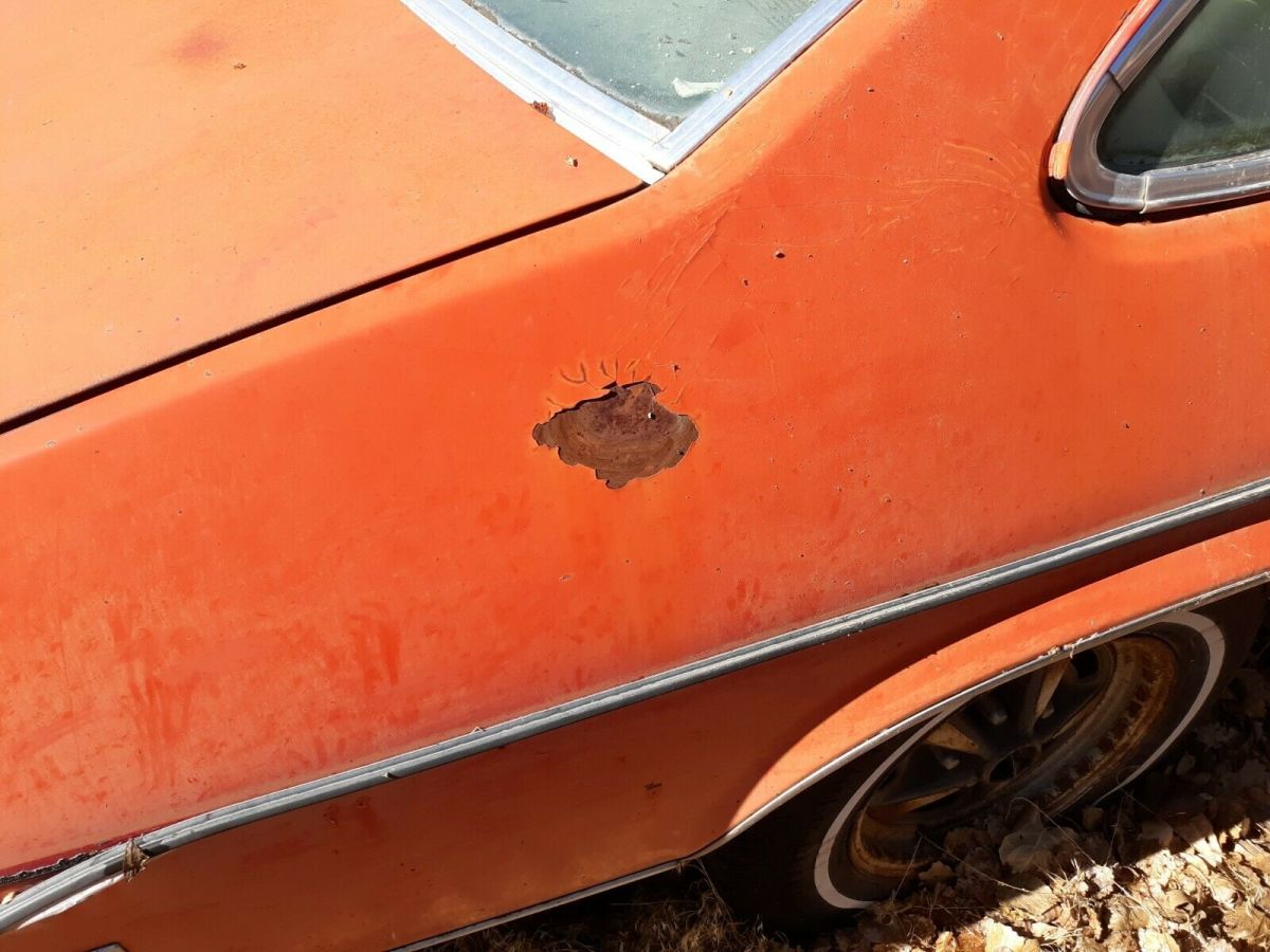 1977 Pontiac Firebird - photo 11