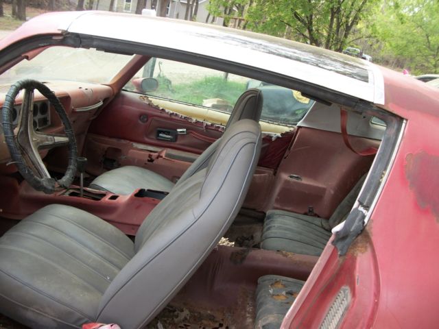 1977 Pontiac Firebird - photo 8