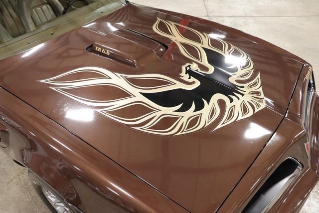 1977 Pontiac Trans Am -- - photo 9