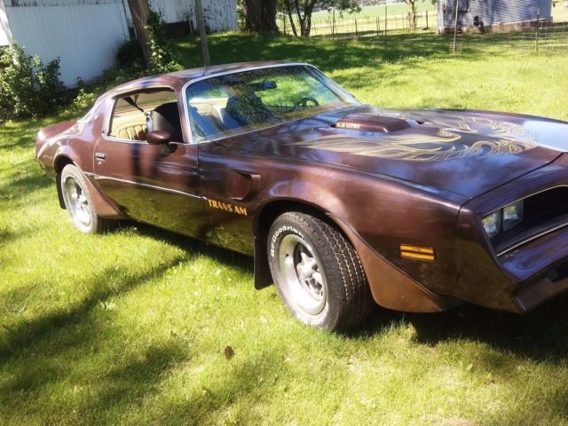1977 Pontiac Trans Am 6.6 Liter V8 - photo 2