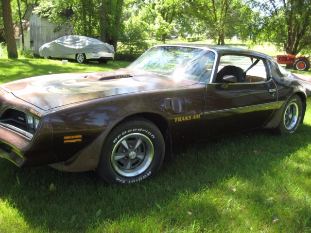 1977 Pontiac Trans Am 6.6 Liter V8 - photo 4