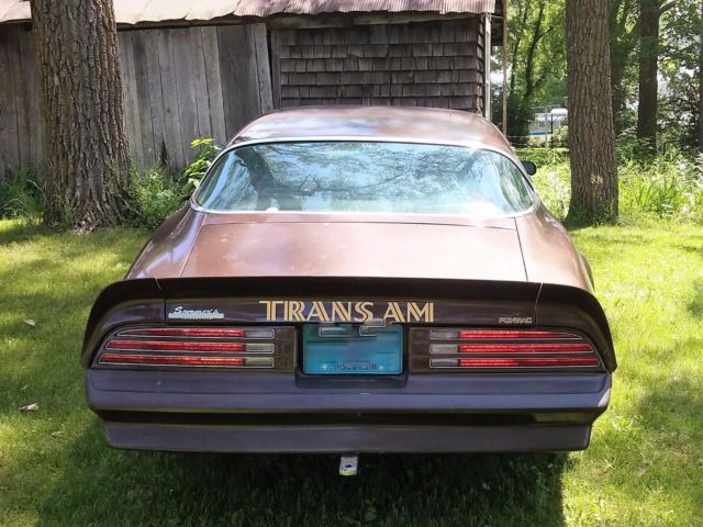 1977 Pontiac Trans Am 6.6 Liter V8 - photo 5
