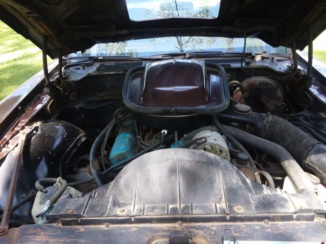 1977 Pontiac Trans Am 6.6 Liter V8 - photo 7