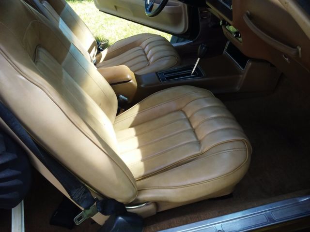 1977 Pontiac Trans Am 6.6 Liter V8 - photo 8