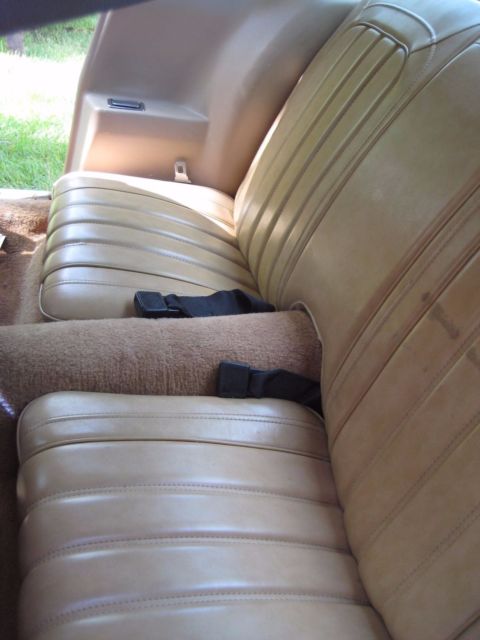 1977 Pontiac Trans Am 6.6 Liter V8 - photo 9