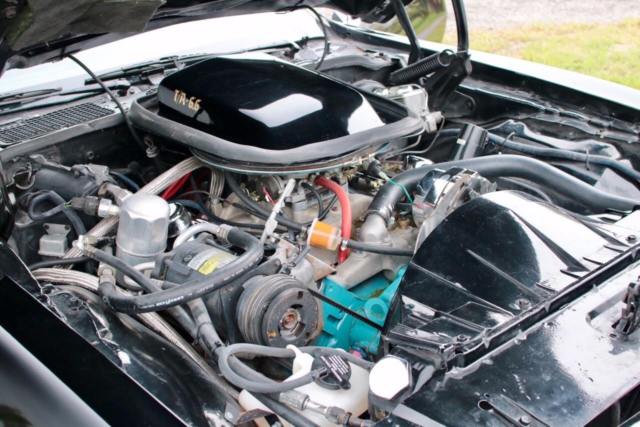 1977 Pontiac Trans Am - photo 10