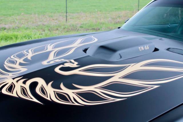 1977 Pontiac Trans Am - photo 9