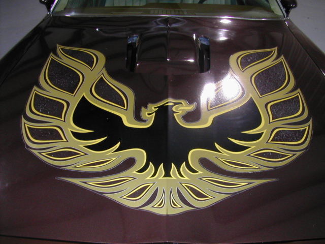 1977 Pontiac Trans Am WS4 W72 L78 - photo 3