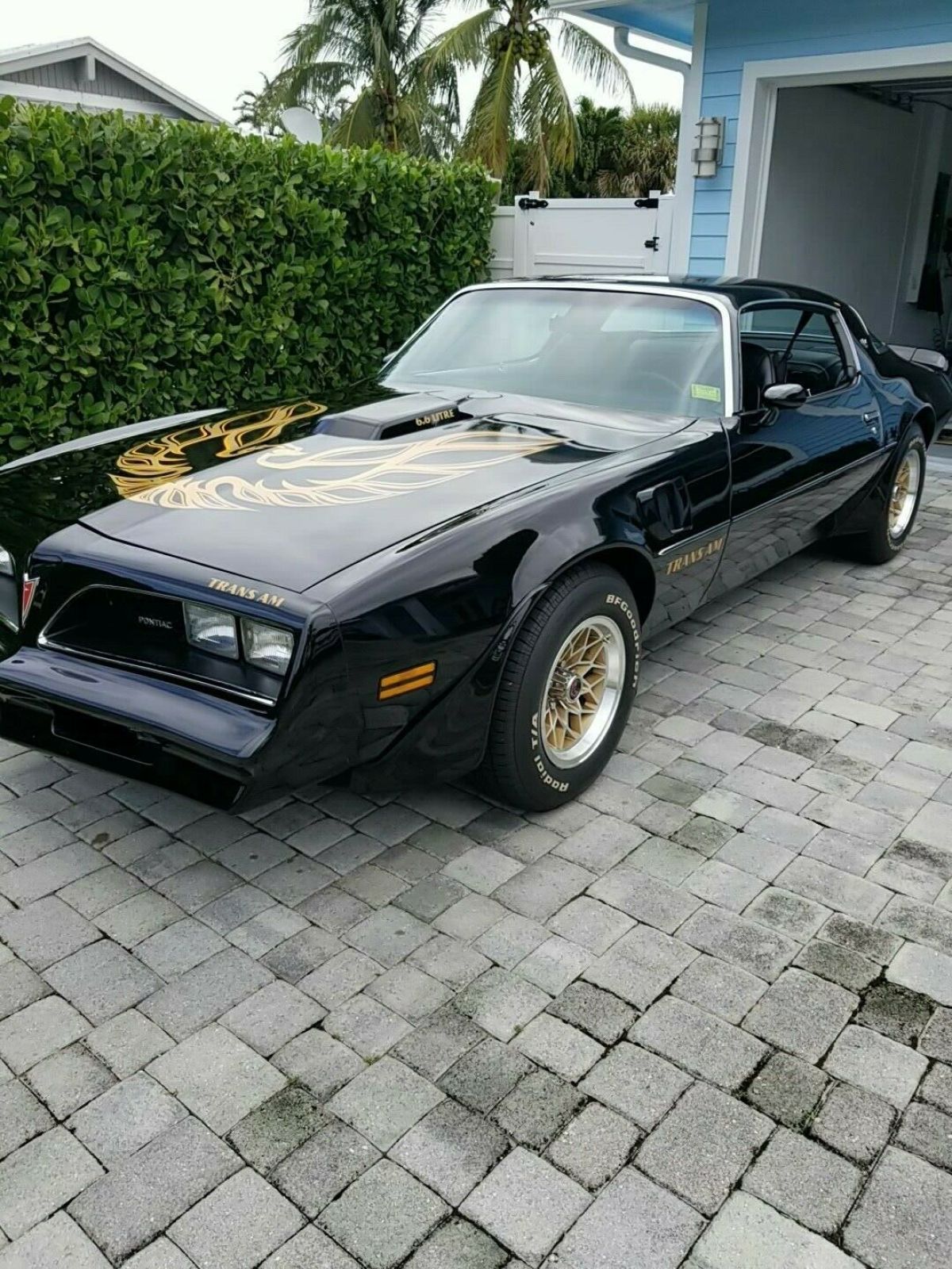 1977 Pontiac Trans Am 41,900 Documented Miles Paperwork back to 1st. owner 1977 Pontiac Trans Am Firebird