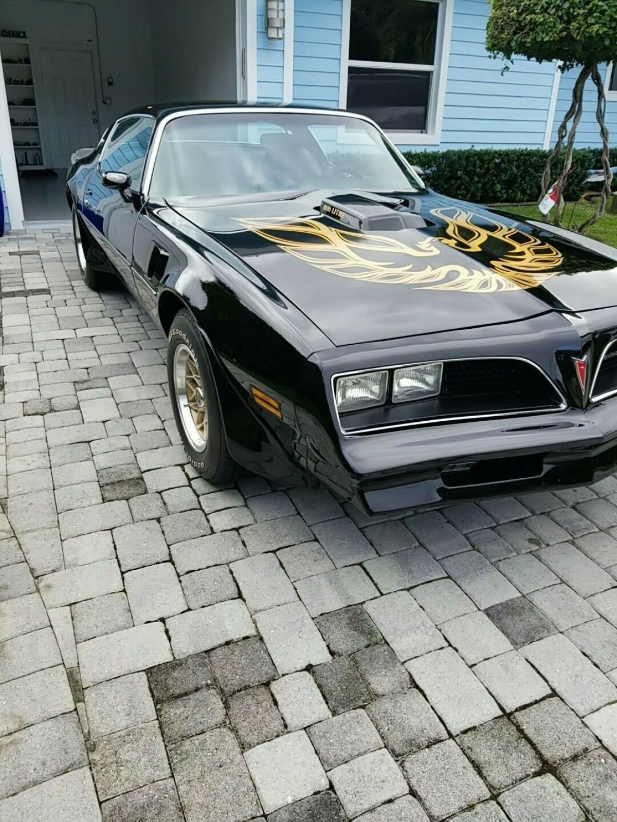1977 Pontiac Trans Am Firebird - photo 2