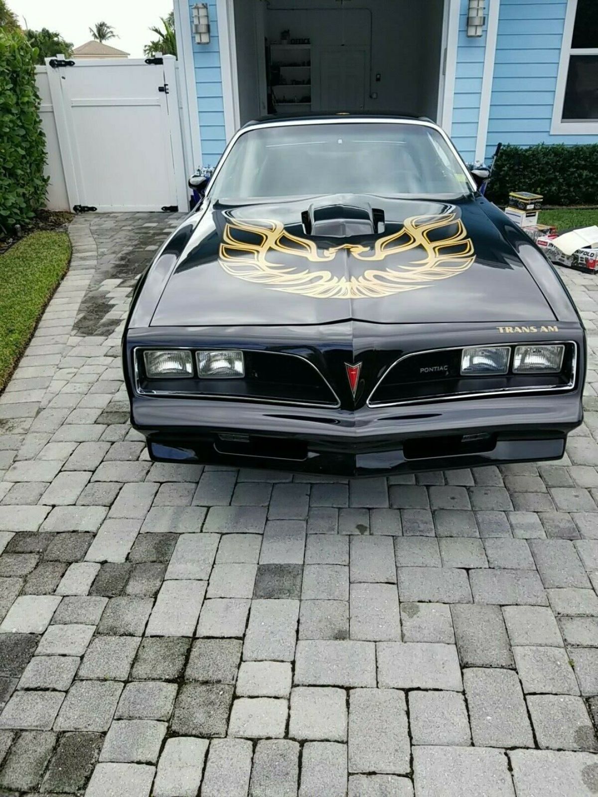 1977 Pontiac Trans Am Firebird - photo 3