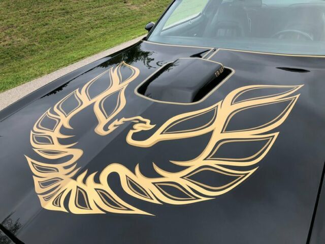1977 Pontiac Trans Am -- - photo 10