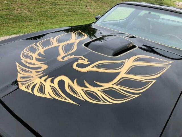 1977 Pontiac Trans Am -- - photo 7