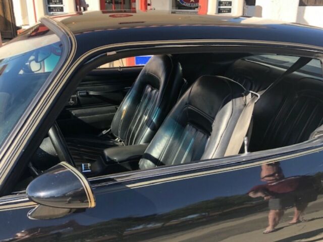 1977 Pontiac Trans Am Trans Am - photo 4