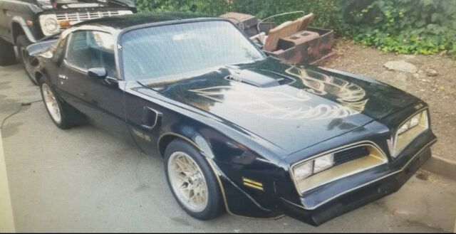 1977 Pontiac Trans Am Trans Am - photo 10