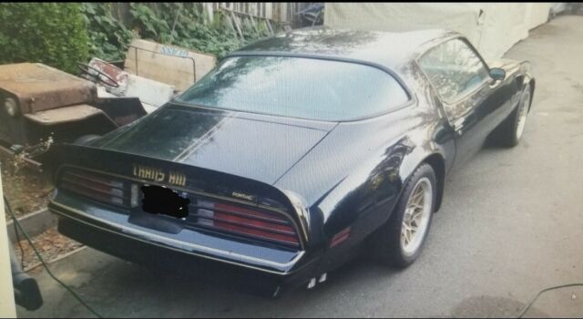 1977 Pontiac Trans Am Trans Am - photo 11