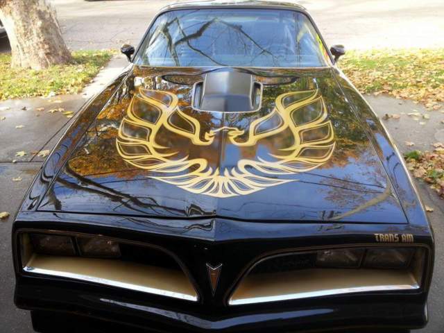 1977 PONTIAC TRANS-AM 6.6L V-8 BANDIT SE 68K HURST T-TOPS NUMBERS MATCHING 1977 Pontiac Trans Am SE