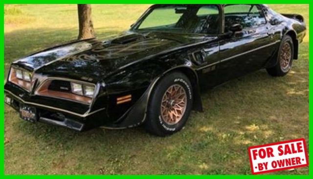 1977 Pontiac Trans Am 6.6L V8 Gasoline 3-Spd Automatic Special Edition OH c84268 1977 Pontiac Trans Am