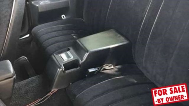 1977 Pontiac Trans Am - photo 2